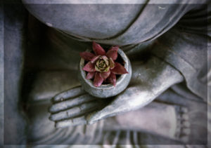 buddha