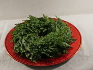 2020_11_16 Thuja Kranz (2)
